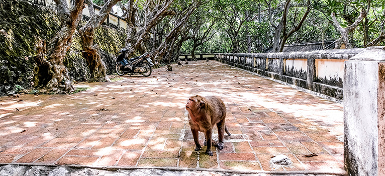 จังหวัดเพชรบุรี